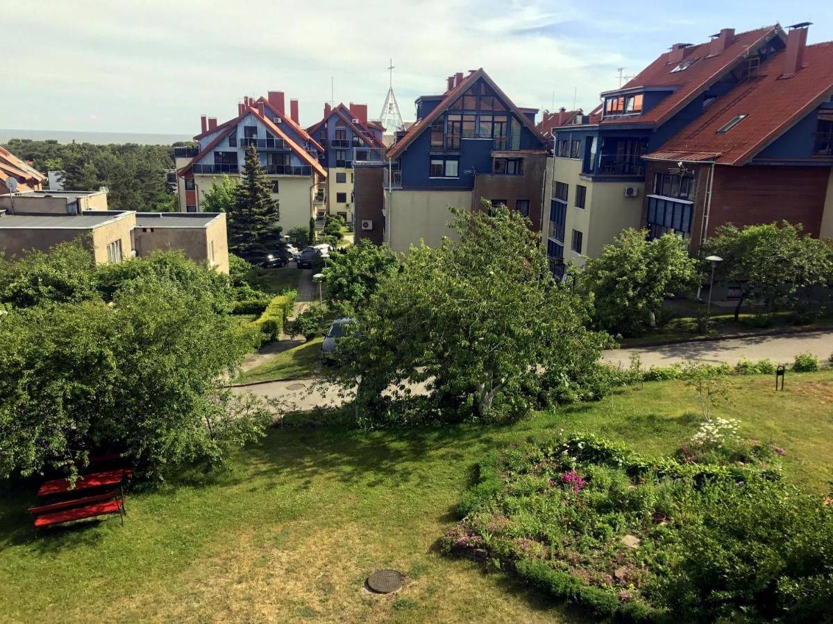 Куршская коса нида. Моя вязаная жизнь айсте. Поселок нида на куршской косе. Топ нида. Айсте диржюте в купальнике.